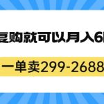 一单卖299-2688，一个靠复购就可以月入6k的暴利项目【揭秘】