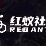 社群运营：红蚁社群【48节落地系统课程+2000人高端社群】