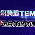 拼多多跨境TEMU爆单运营实操培训班，海外拼多多的选品、运营、爆单