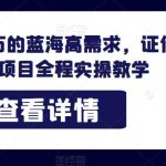 轻松月人万的蓝海高需求，证件照发型项目全程实操教学【揭秘】
