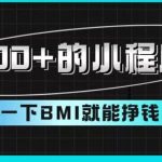 日入300+的小程序项目，测一下BMI就能挣钱【揭秘】