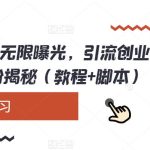 小红书暴力无限曝光，引流创业粉，精准粉揭秘（教程+脚本）