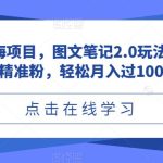 小红书蓝海项目，图文笔记2.0玩法，日引100+精准粉，轻松月入过10000【揭秘】