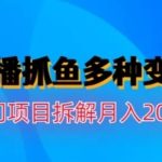水边直播抓鱼，多种变现途径冷门项目，月入200w拆解【揭秘】