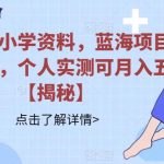 小红书卖小学资料，蓝海项目，红利期长，个人实测可月入五位【揭秘】