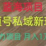 蓝海项目，视频号私域新玩法，暴力项目月入1万+【揭秘】