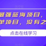 2023最强蓝海项目，小红书商单项目，没有之一【揭秘】