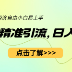 （6515期）小红书精准引流，小白日入600+，轻松实现副业经济自由（教程+1153G资源）