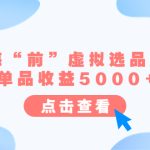 （6500期）某公众号付费文章《蓝海“前”虚拟选品方法：单品收益5000+》
