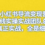 （6441期）小红书导流变现营，一线实操实战团队总结，真正实战，全是细节
