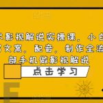（6433期）影视解说实战课，小白0基础 写文案 配音 制作全流程 一部手机做影视解说