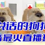 （6418期）抖音无人直播玩法会说话的狗狗本弹幕礼物互动小游戏（游戏软件+开播教程）