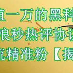 （6370期）价值一万的黑科技 新浪秒热评协议 引流精准粉【揭秘】
