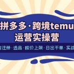 （6319期）拼多多·跨境temu运营实操营：开店注册·选品·核价上架·日出千单·实战课