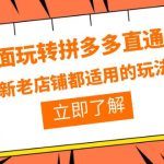 （6294期）全面玩转拼多多直通车，新老店铺都适用的玩法（12节精华课）