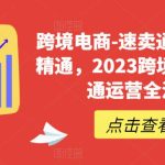 （6208期）速卖通从0基础到精通，2023跨境电商-速卖通运营实战全流程