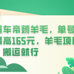 （6175期）懂车帝薅羊毛，单号最高165元，羊毛项目，搬运就行