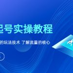 （6110期）新手起号实操教程，掌握各种起号的玩法技术，了解流量的核心