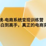 （6058期）TikTok跨境-电商系统变现训练营【5月新课】从小白到高手，真正的电商实操课