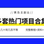 （6056期）黄岛主副业多套热门项目合集：日入几十到几百不等（完整教程+资料+素材）