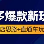 （6028期）2023拼多多爆款·新玩法：起店思路+直通车玩法（3节精华课）