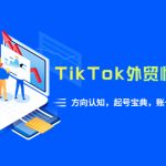 （6000期）TikTok/外贸·快速起号课，方向认知，起号宝典，账号运营，视频拍摄(33节)