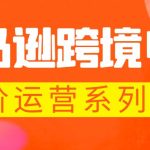 （5967期）亚马逊跨境-电商全阶运营系列课程 每天10分钟，让你快速成为亚马逊运营高手