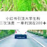 （5914期）小红书引流大学生粉，变现项目，一单利润在200+（教程+资源）