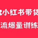 （5847期）小红书电商爆量训练营，月入3W+！可复制的独家养生花茶系列玩法