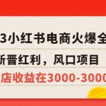 （5840期）2023小红书电商火爆全网，新晋红利，风口项目，单店收益在3000-30000！