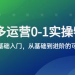 （5747期）拼多多-运营0-1实操训练营，拼多多0基础入门，从基础到进阶的可实操玩法