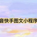 （5720期）【简单粗暴】收费5980的最新抖音快手小程序掘金（详细教程）
