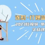（5640期）连怼·打爆蓝海·单品，2023短视频·带货好物分享·实战课！