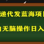 （5573期）2023最新蓝海快递代发项目，小白零成本照抄也能日入300+（附开户渠道）
