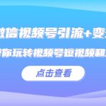 （5548期）2023微信视频号引流+变现训练营：手把手带你玩转视频号短视频和直播运营!