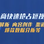 （5538期）淘系电商快速抢占短视频红利：流量解析 内容创作 渠道投放 爆款数据分析等