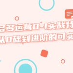 （5521期）拼多多运营0-1实战特训营，拼多多从0础到进阶的可实操玩法！
