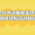 （5451期）外面收费398小红书流量掘金项目，简单操作轻松引流私域爆单