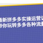 （5435期）23年最新拼多多实操运营训练营：手把手带你玩转多多各种流量打法！