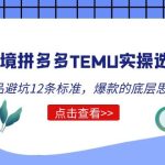 （5402期）跨境拼多多TEMU实操选品运营方法，选品避坑12条标准，爆款的底层思路等