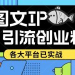 （5372期）价值1688的ks dy 小红书图文ip引流实操课，日引50-100！各大平台已经实战