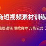 （5357期）电商短视频素材训练营：短视频素材底层逻辑 爆款脚本 万能公式  混剪素材等