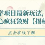 揭秘国学项目最新玩法，利用慈悲心疯狂敛财【揭秘】