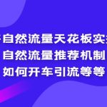 （5327期）拼多多自然流量天花板实操玩法：自然流量推荐机制，如何开车引流等等