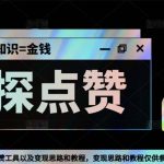 （5311期）最新探探全自动点赞引流，配合男粉变现思路轻松日赚500+【脚本+教程】