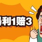 （5303期）京东暴利一赔三，单号可下车1W+，新号基本稳下（仅供揭秘）