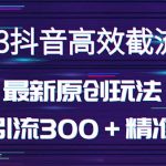 （5293期）日引300＋创业粉，独家抖音高效截流2.0玩法（价值1280）