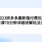 （5260期）2023拼多多最新强付费玩法，3月新课​78分钟详细讲解玩法流程！