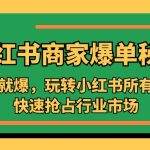 （5220期）小红书·商家爆单秘籍：一写就爆，玩转小红书所有规则，快速抢占行业市场