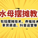 （5197期）水母·摆摊教学，包括摆摊技术、养殖技术、拿货渠道、抖音运营等